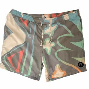 Quiksilver Board Shorts Mens Multicolor Swim Trunks